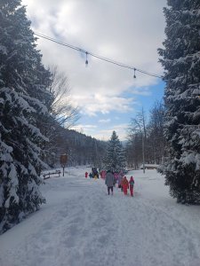 Aktywny styczeń w SP 1 w Wiśle